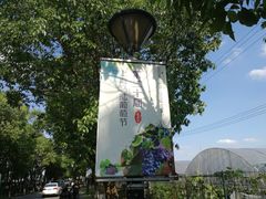 -美家乐农庄·露营·团建(大治路店)