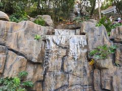 -广州市流溪河国家森林公园