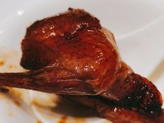 吊烧妙龄乳鸽-悦雅居·老广州老味道(长湖店)