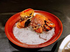 -A One Kitchen·南京精菜馆(德基广场店)