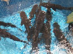 -梁家大院•农家菜(昆山会展中心店)