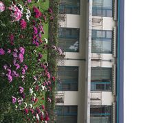 iphone_upload_pic-上海市保健医疗中心(华东疗养院)