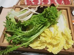 -吉野家(长青店)