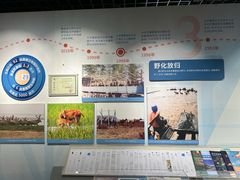 -北京麋鹿生态实验中心