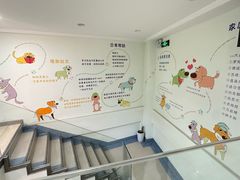 -瑞派申生动物医院·24H夜诊·国际动物医疗中心·骨外科(吴中路店)