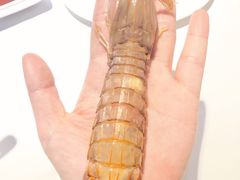 蒜蓉爬虾-小螺号海鲜·地道鲁菜(泉城广场店)