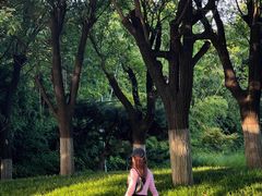 -汉长安城未央宫国家考古遗址公园