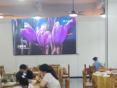 -水上鱼当家