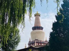 -张掖大佛寺景区