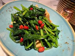 菠菜面筋-阿里疆Alijiang·丝路美食·异域风情·清真(长楹天街店)