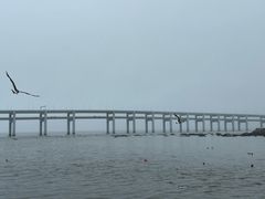 -黑石礁公园