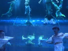 -华夏文旅海洋公园