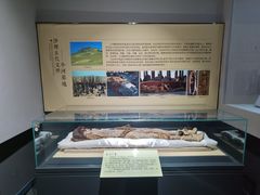 -巴音郭楞蒙古自治州博物馆