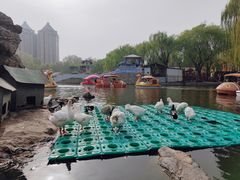 -团结湖公园