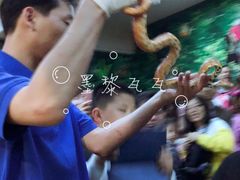 -上海大自然野生昆虫馆(东方明珠·爬宠昆虫探索中心)
