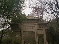 -灵岩山风景区