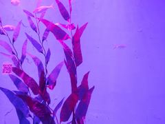 -欢乐海岸海洋奇梦馆