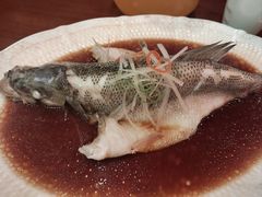 -古南都·老广东酒楼(龙江店)