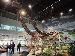 -自贡恐龙博物馆