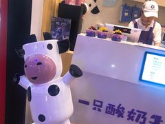 -一只酸奶牛(摩根吾悦广场店)