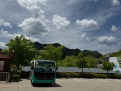 -王顺山国家森林公园