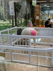 -小象动悟公园(龙湖亦庄天街店)