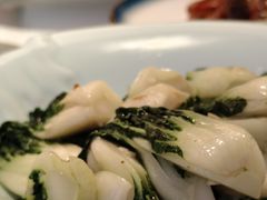 -中山市绿华园食府