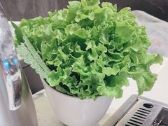 -韩时烤肉(丰科万达广场店)