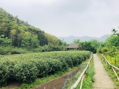 -天下银坑
