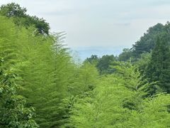 -莫干山风景区