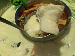 -鱼豆吉·豆浆鱼火锅(宜昌万达店)