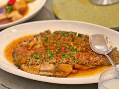 鲥鱼-九福楼大酒店