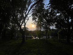 -泉州海丝野生动物世界