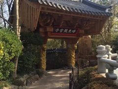 -海东龙宫寺