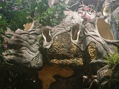 -疯狂屋