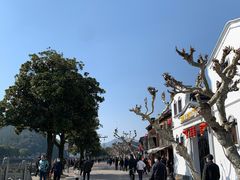 -蒋氏故居