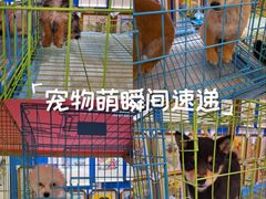 -万达广场(北京槐房店)