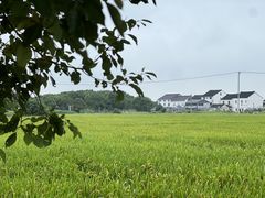 -莲花岛景区