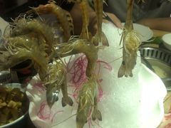 -尚海豆捞(乐虹坊店)