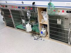 -谐和贝康宠物医院24小时·宠保定点(急重症转诊中心)