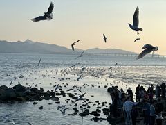 -深圳湾公园(南山区)