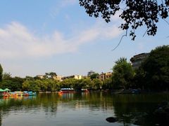 -莲湖公园