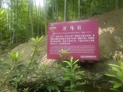 -山沟沟景区