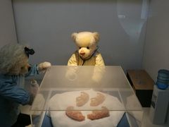 -成都泰迪熊博物馆