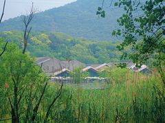 -西湖风景区-江洋畈生态公园