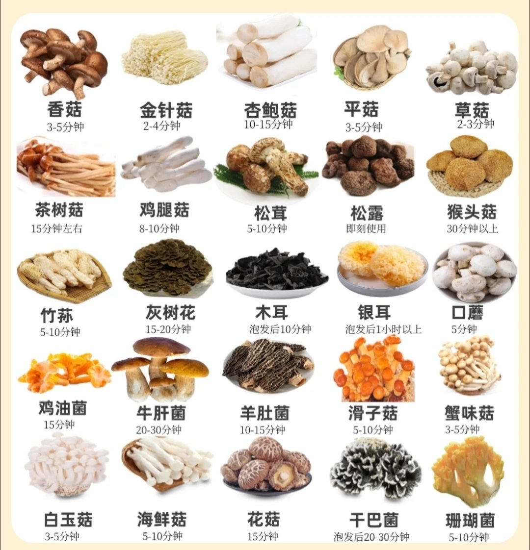 菇类图片和名字图片