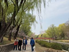 -元大都城垣遗址公园