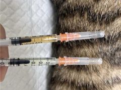 -宠颐生汉谟拉比宠物医院