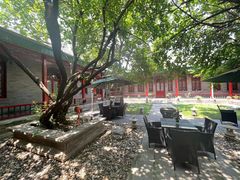 -上海老饭店(北京分店)