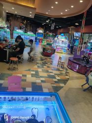 -卡通尼·Safari非洲探索乐园·生日会(金桥国际商业广场店)